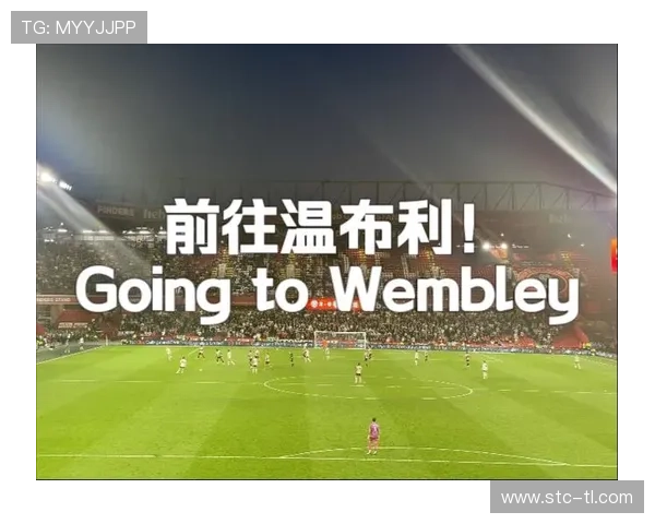 谢菲联英冠冠军赛季回顾：重温夺冠征程与关键表现