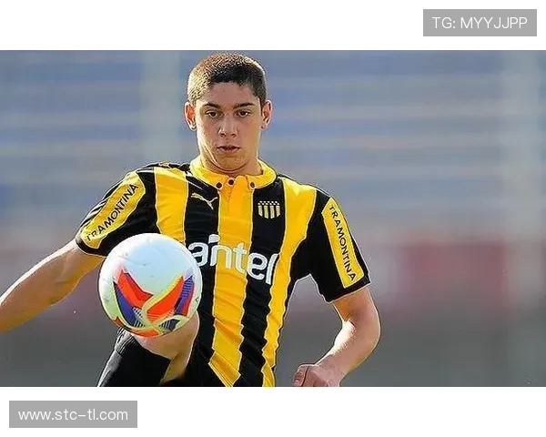 巴尔韦德战术角色与比赛影响力解析